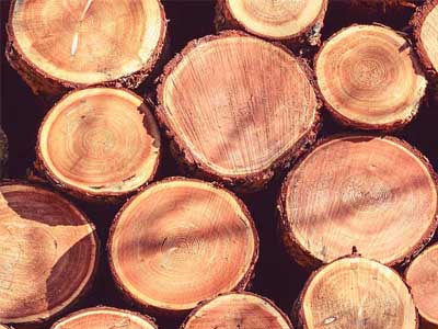 madera para exteriores